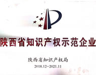 陜西省知識產(chǎn)權示范企業(yè)